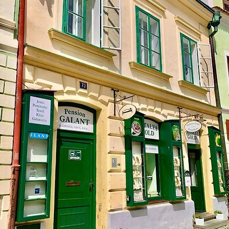 Appartement Apartman Galant à Český Krumlov Extérieur photo