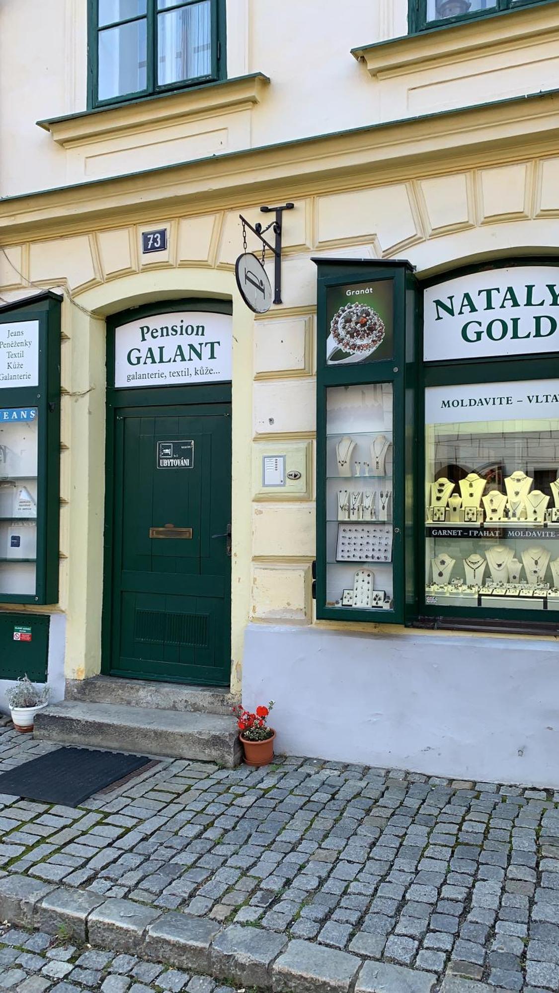 Appartement Apartman Galant à Český Krumlov Extérieur photo