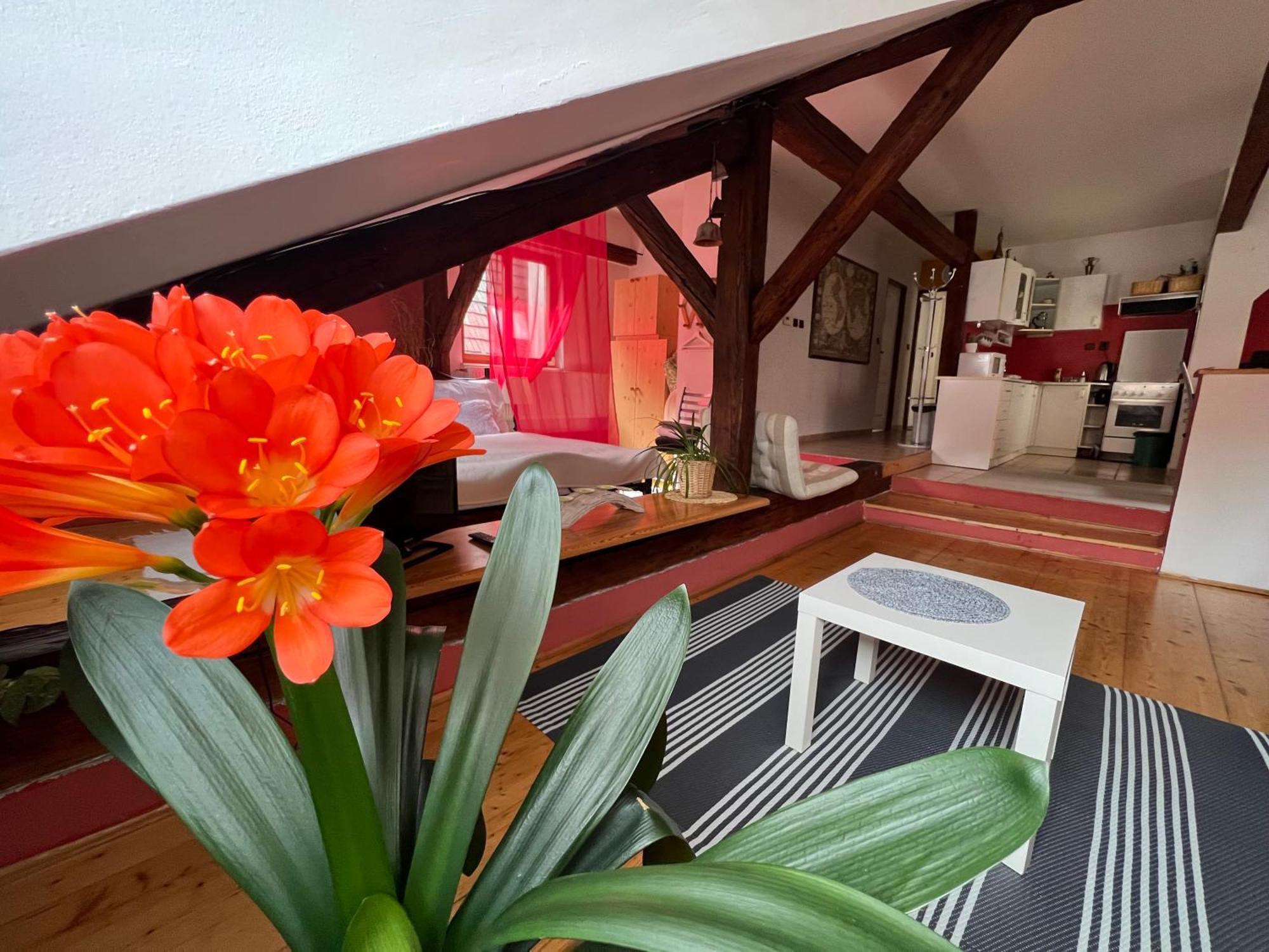 Appartement Apartman Galant à Český Krumlov Extérieur photo